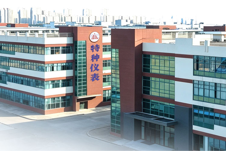 走进雪浪仪表智造基地