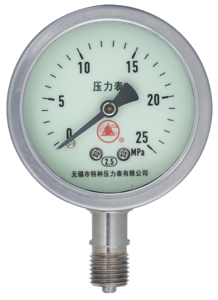 船用抗震压力表
