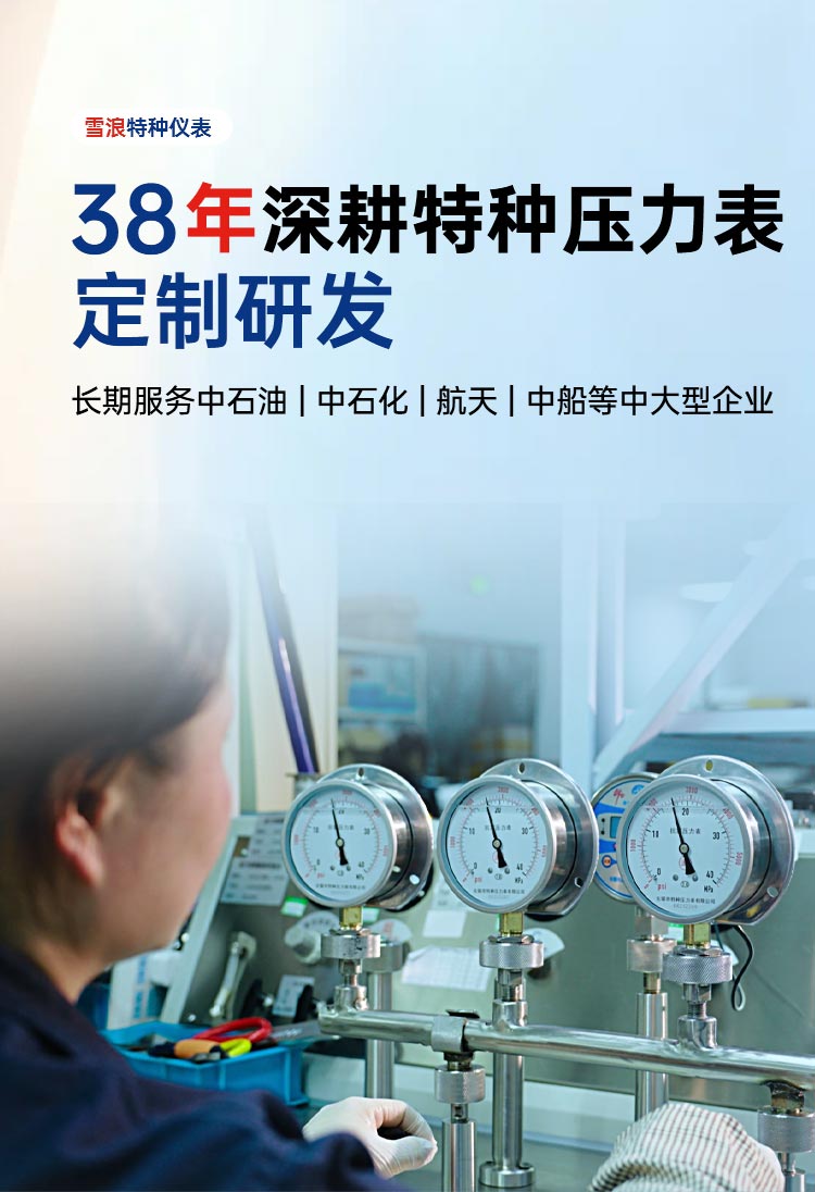 雪浪特种仪表38年深耕特种压力表定制研发