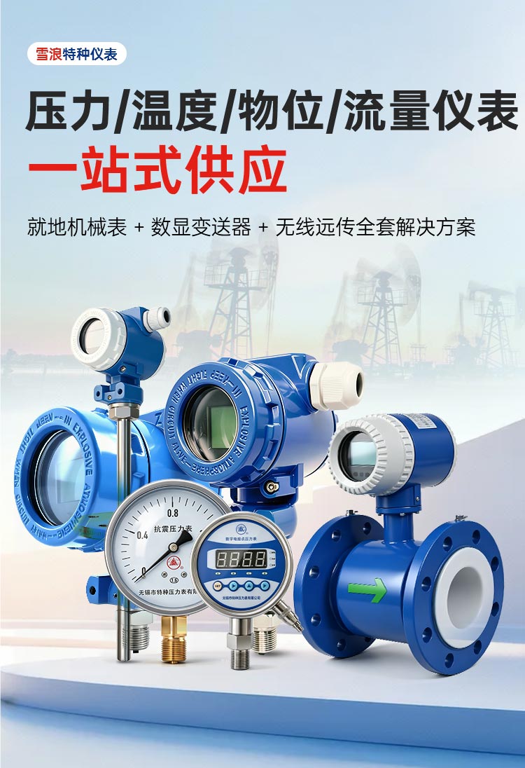 雪浪特种压力表威力温度物们流量仪表一站式供应